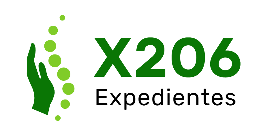 x206